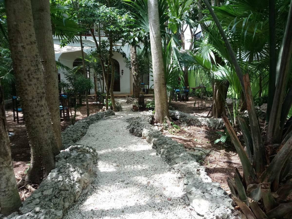 Hôtel Casita Rustica En La Selva à Cancún Extérieur photo