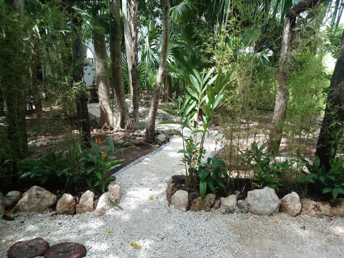 Hôtel Casita Rustica En La Selva à Cancún Extérieur photo